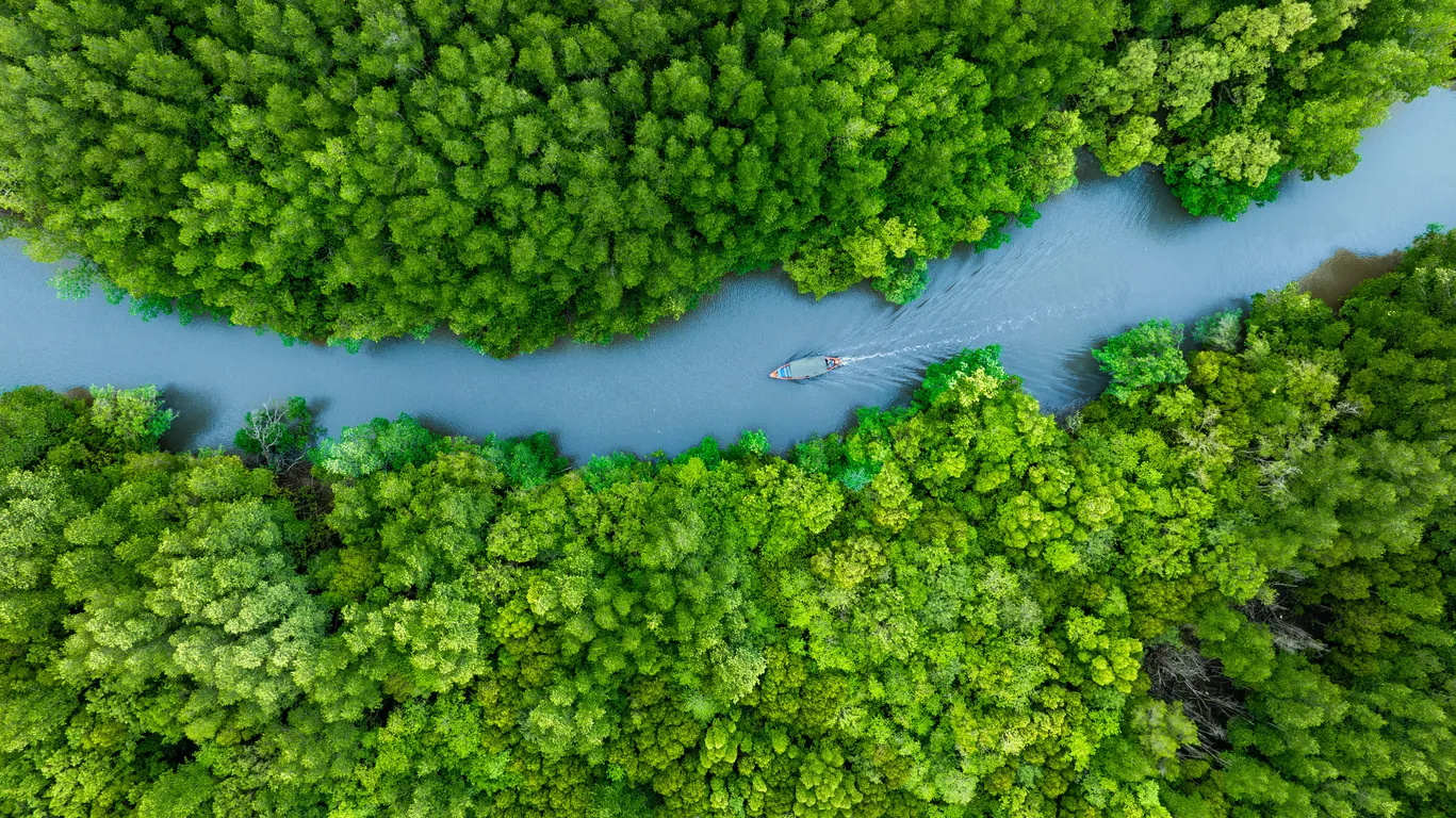Vista aérea del paisaje forestal y fluvial. Un rico ecosistema natural