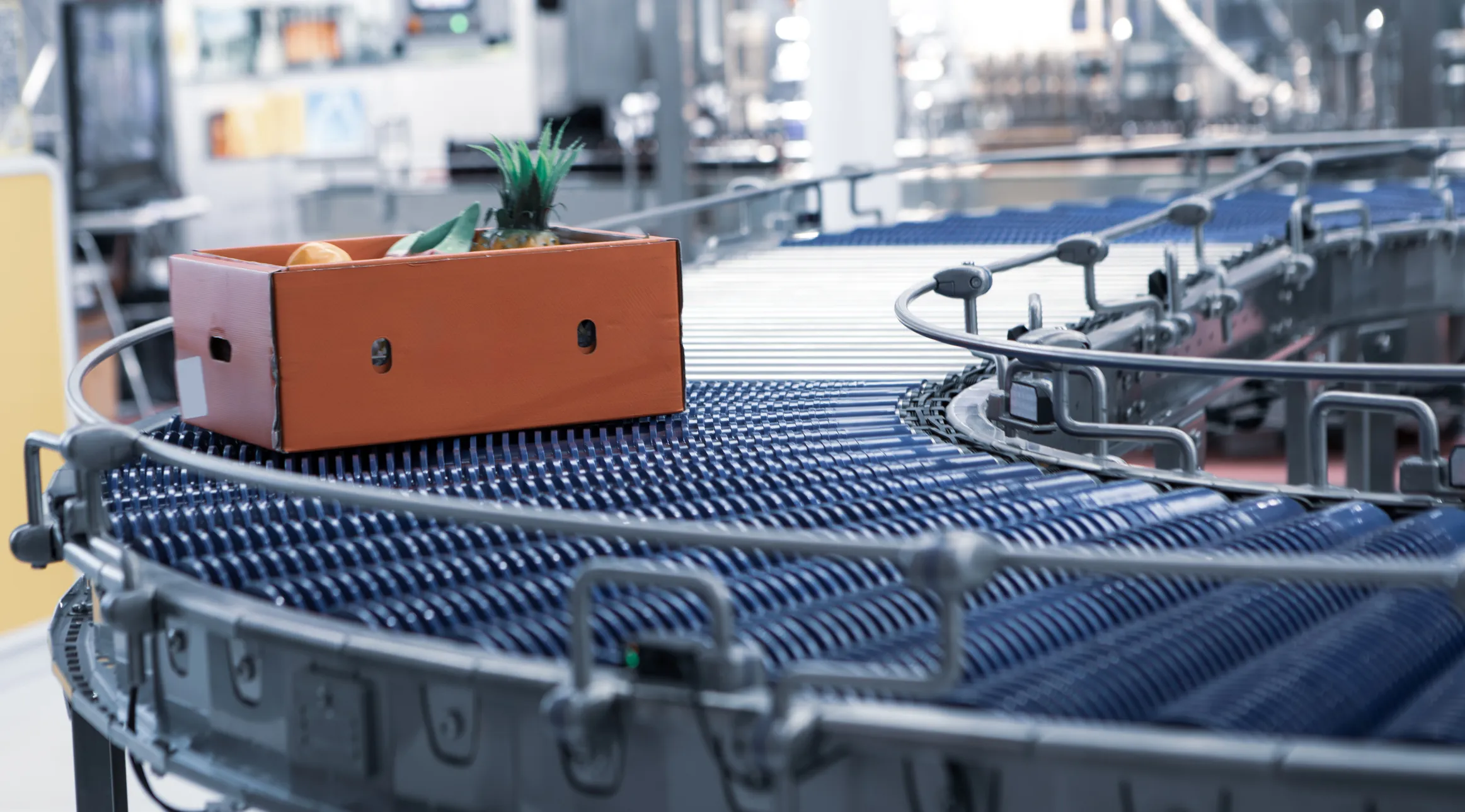 Bandar transportadora en industria de alimentos. En son limpiadas con desengrasante industrial