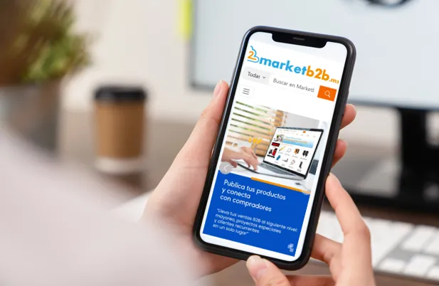 persona con celular en sus manos revisando una página de marketb2b