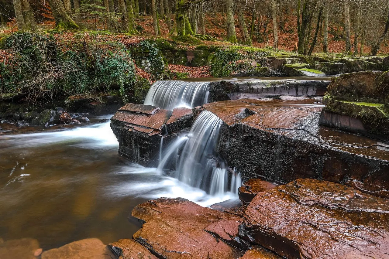 Corriente y cascada pequeña en un río saludable. La protección del agua es fundamental para la existencia humana.