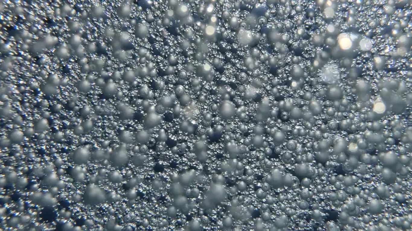 Que son los floculos