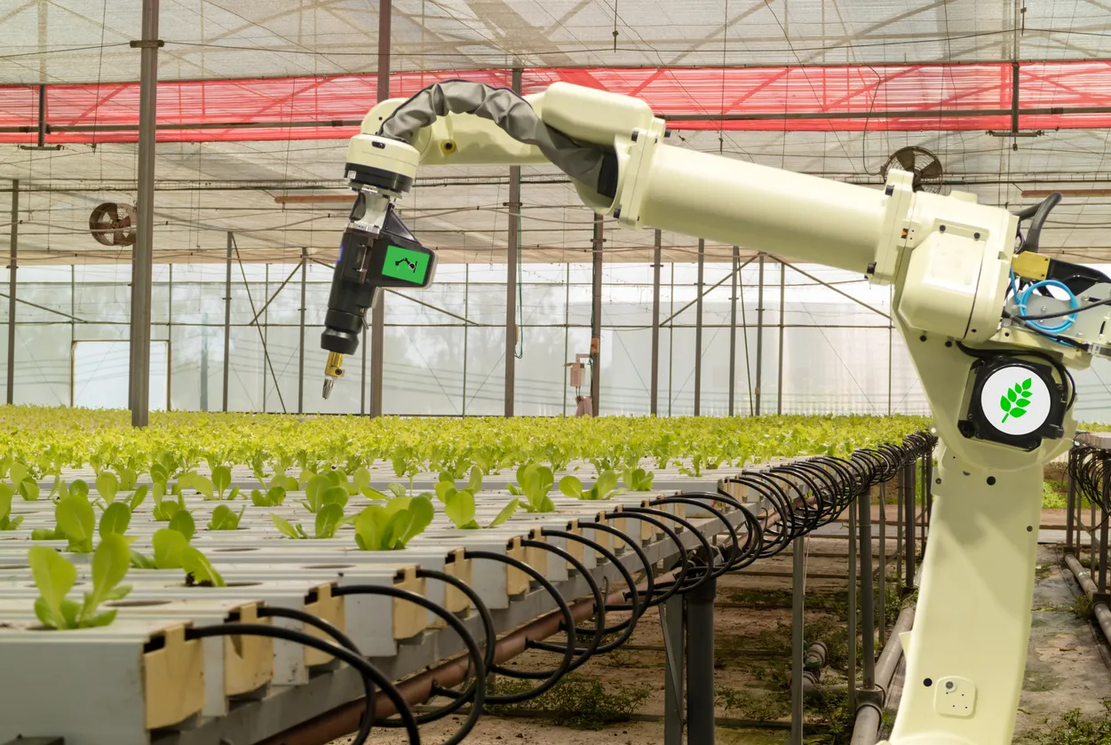 Automatización en la agricultura: ejemplos y tecnologías que están revolucionando el campo