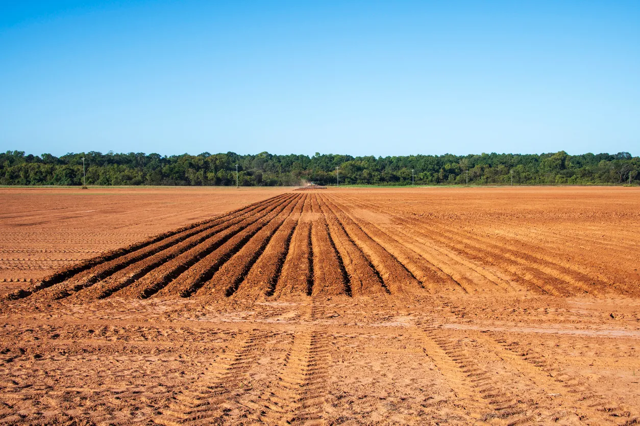 Campo preparando la tierra para la siembra. La zeolita mejora la porosidad y aireación del suelo en la zona radicular.