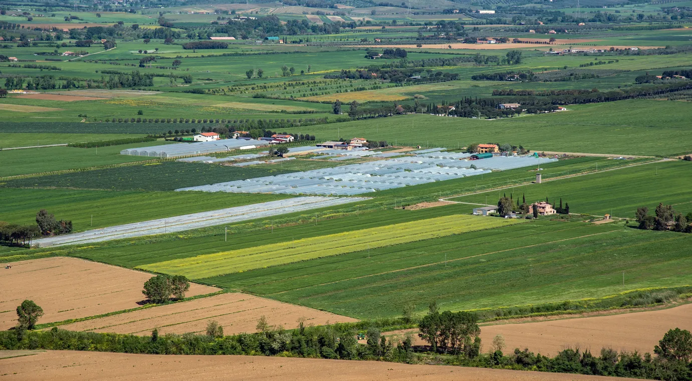 Dosis y recomendaciones de uso de zeolita en agricultura