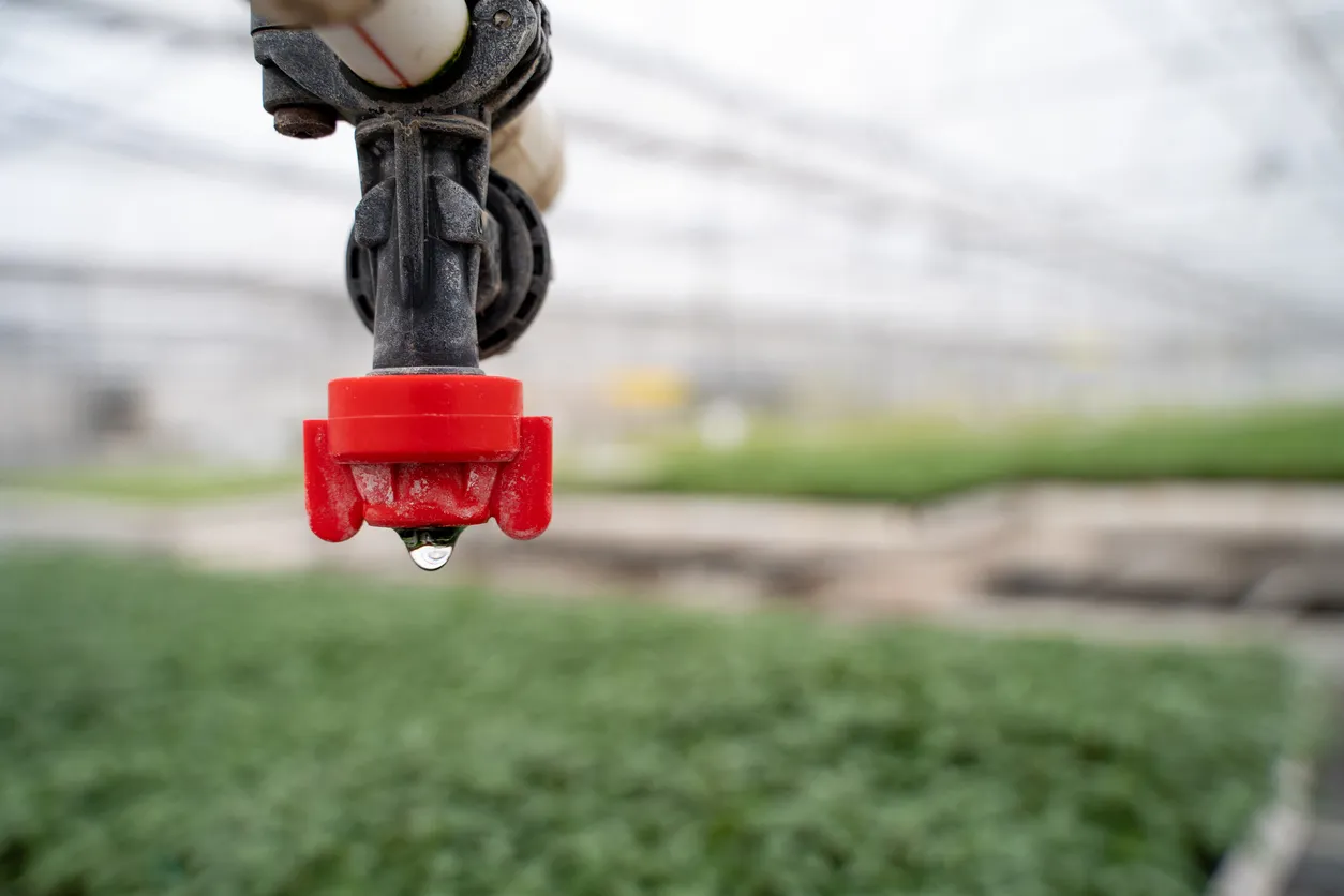 El grifo del sistema de riego en el invernadero.La zeolita ayuda en sistemas de riego con agua dura