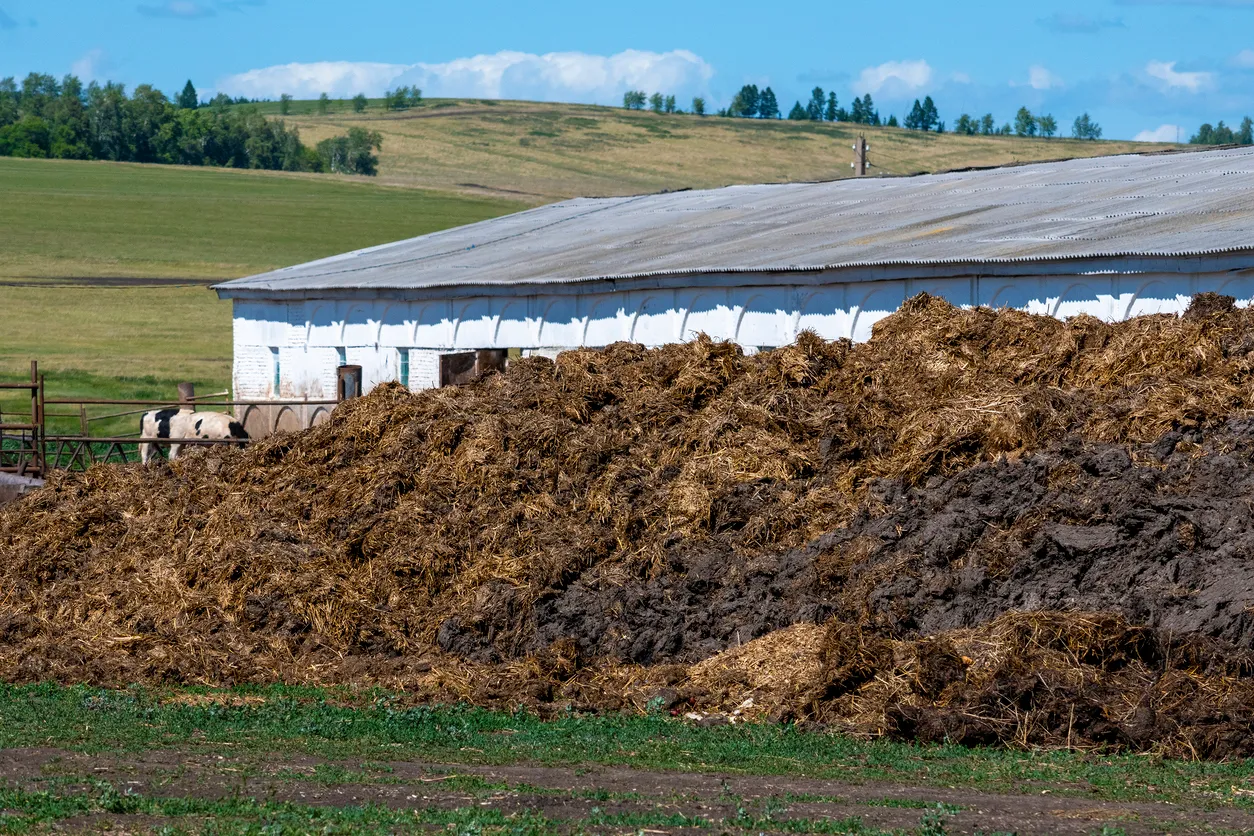 Zeolita en compostaje industrial
