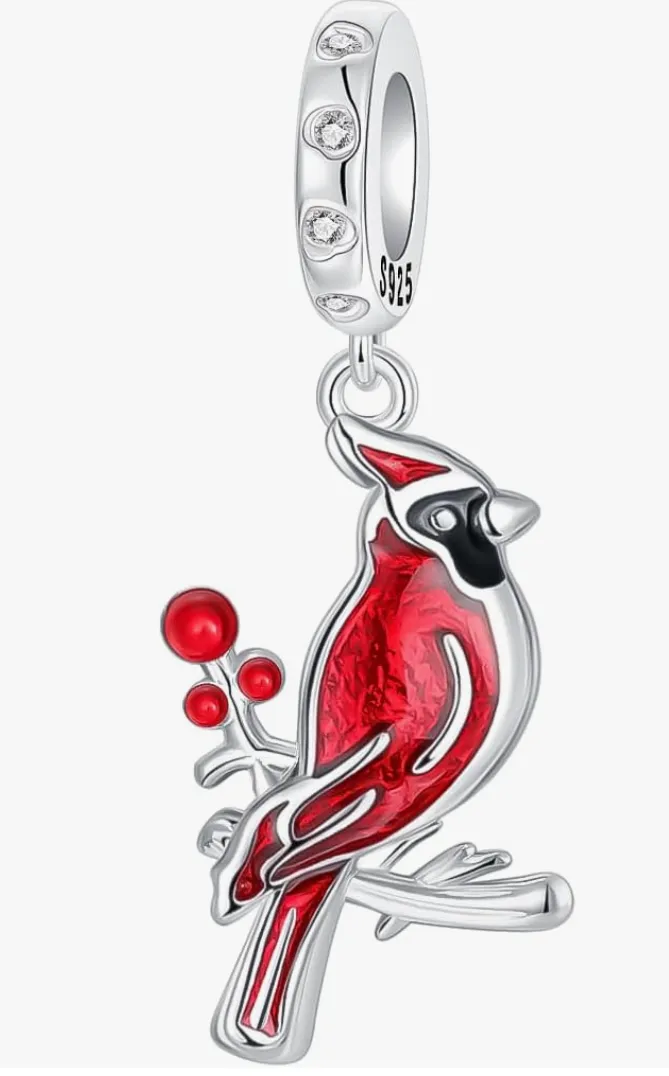 GOINEVA Charm 925 para Mujer – Distribuye Dijes y Anillos de Plata con Estilo