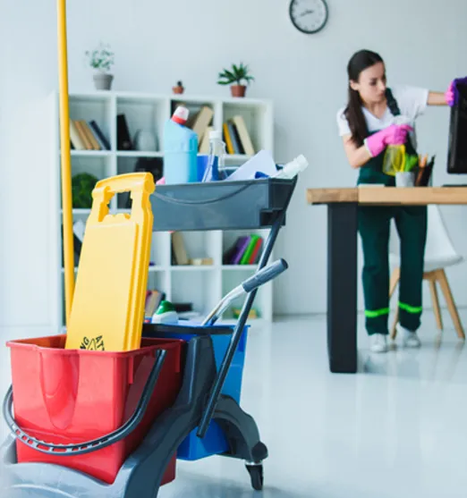 Servicios de Aseo y Limpieza en CDMX para Oficinas, Condominios y Comercios