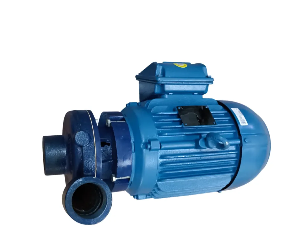 Bomba Centrífuga Trifásica WEG 13593636 5 HP